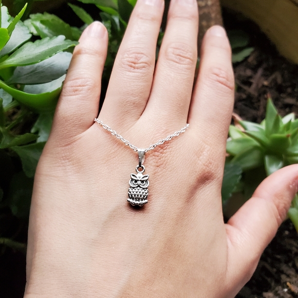 NWOT Silver Howl Necklace - Picture 6 of 14